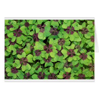 Green Leaves