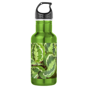 Green leaves 532 ml water bottle
