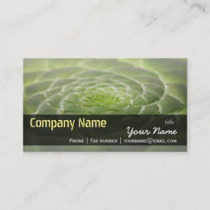 Green Leaves Aeonium Tabuliforme Business Template Card
