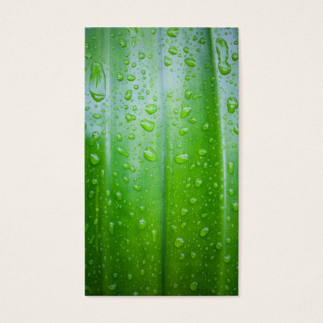 Green leaves background (Front)