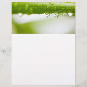 Green leaves background flyer