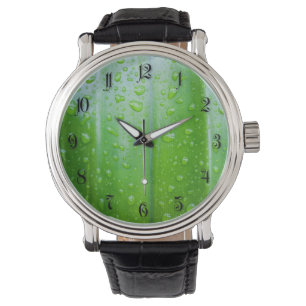 Green leaves background watch