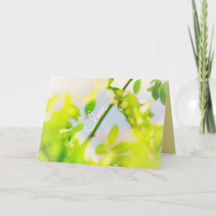 Green Leaves Blue Sky Love You Always Card