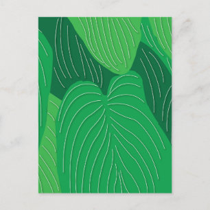 Green Leaves Botanical Postcard