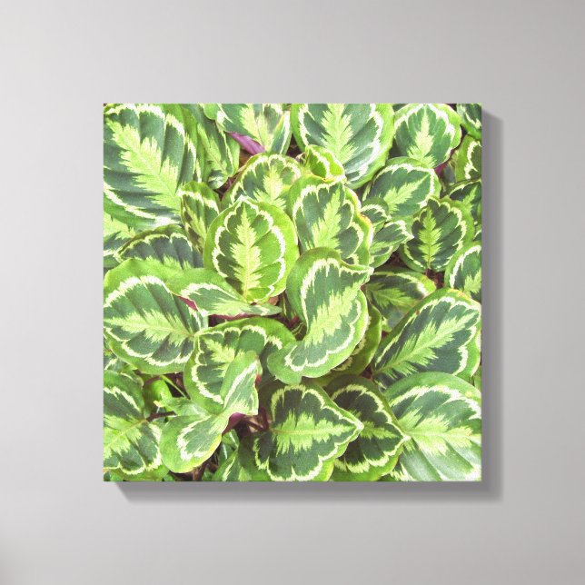 Green leaves canvas print (Front)