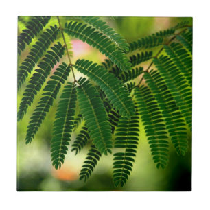 Green Leaves Ceramic Tile