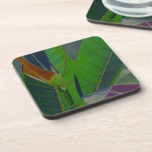 Green Leaves Close-Up Coaster