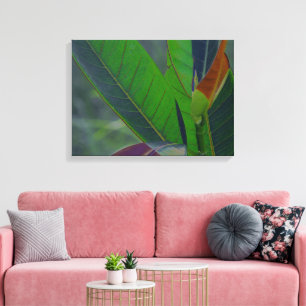 Green Leaves Closeup Canvas Print