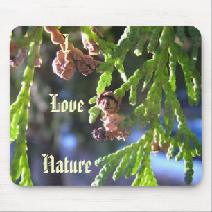 green leaves, cypress, seeds mouse pad