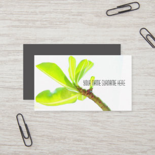 Green Leaves Kudu Lily Nature Feel Business Card