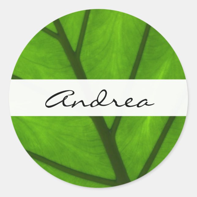 Green Leaves, Leaf Background, Leaf, Your Name Classic Round Sticker (Front)