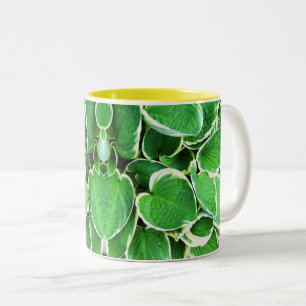 Green leaves of a Hosta Two-Tone Coffee Mug