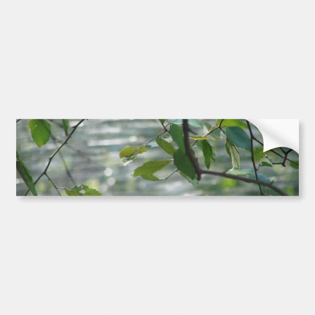 Green Leaves Of Hope Bumper Sticker (Front)