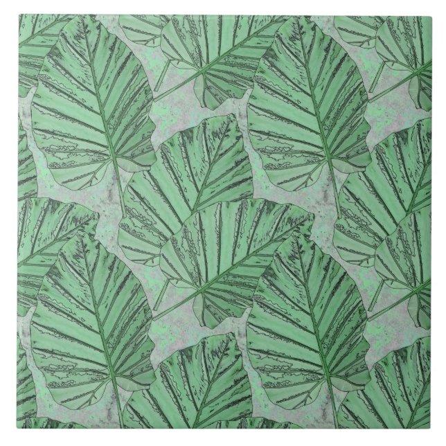 Green leaves on a grey stone. tile (Front)