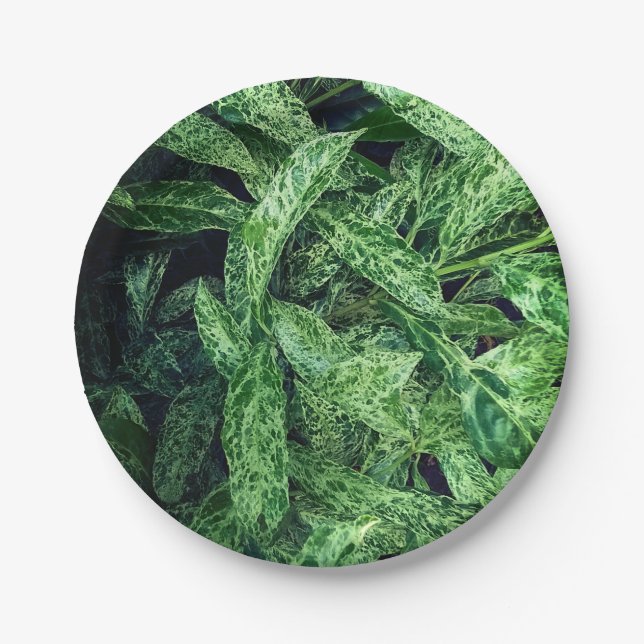 Green leaves paper plate (Front)