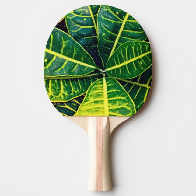 Green leaves  ping pong paddle (Front)