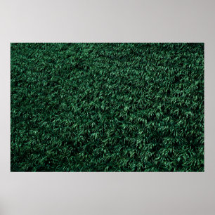 Green leaves poster