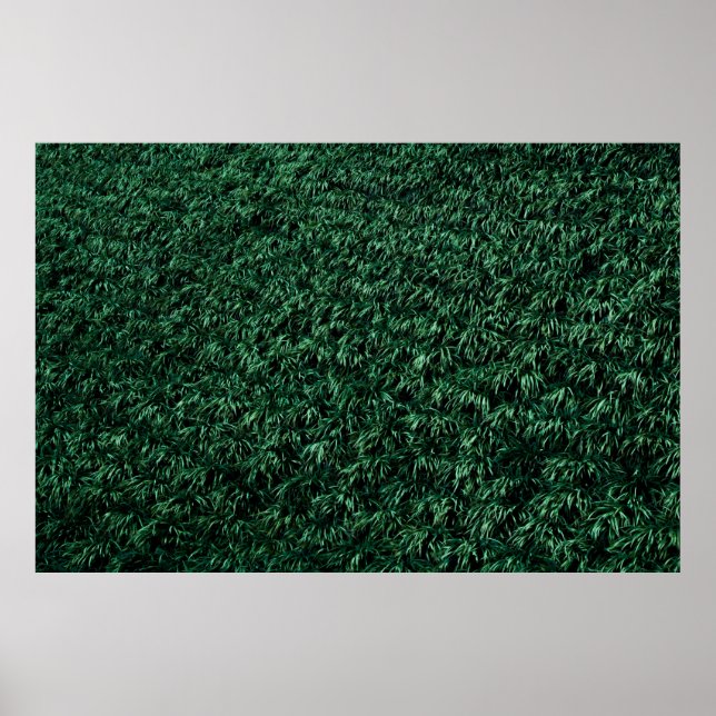 Green leaves poster (Front)