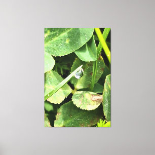 Green Leaves Romania - Botanical Foliage Wall Art