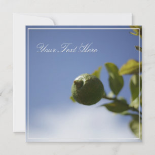 Green Lemon Lime Your Text Flat Card