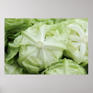 Green lettuce poster