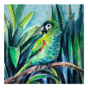 Green Little macaw Poster
