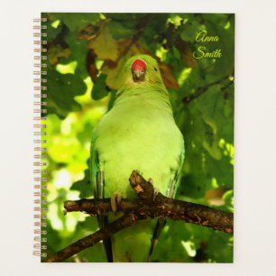Green Little Parrot Bird Planner