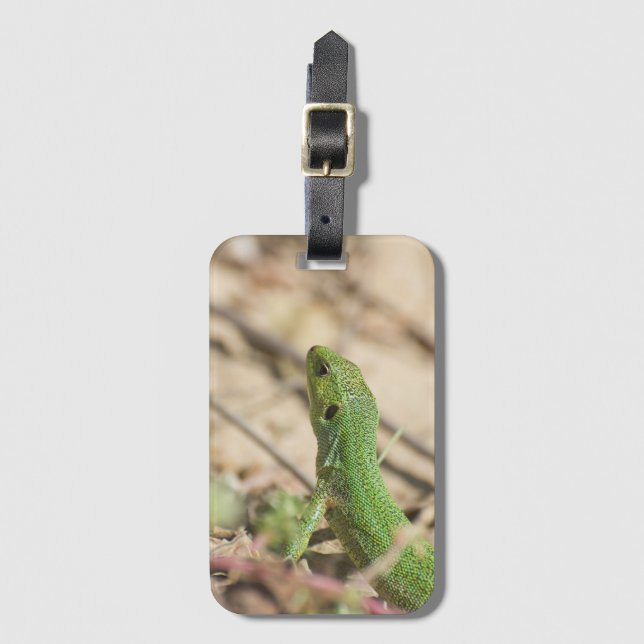 Green lizard luggage tag (Front Vertical)