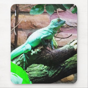 Green lizard mouse pad