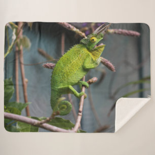 GREEN LIZARD SHERPA BLANKET