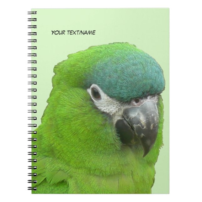 Green Lorikeet Cust. Text & BG Colour Notebook (Front)