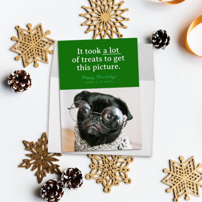 Green Lots of Treats Happy Howlidays Funny Pet Holiday Card (Funny pet photo holiday card reads "it took a lot of treats to get this picture" on a block of green)