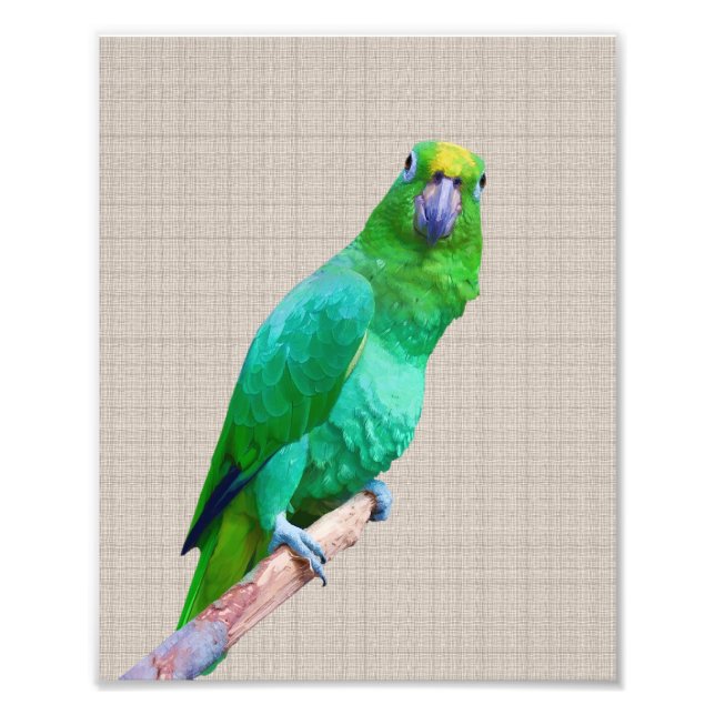 Green Macaw Parrot on a Limb Customisable Text Photo Print (Front)