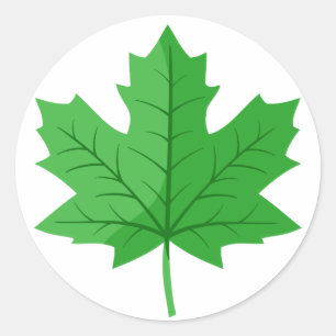 Green Maple Leaf Classic Round Sticker