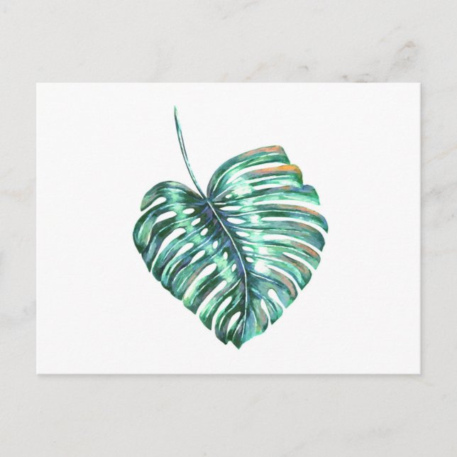 Green monstera leaf palm tropical postcard (Front)