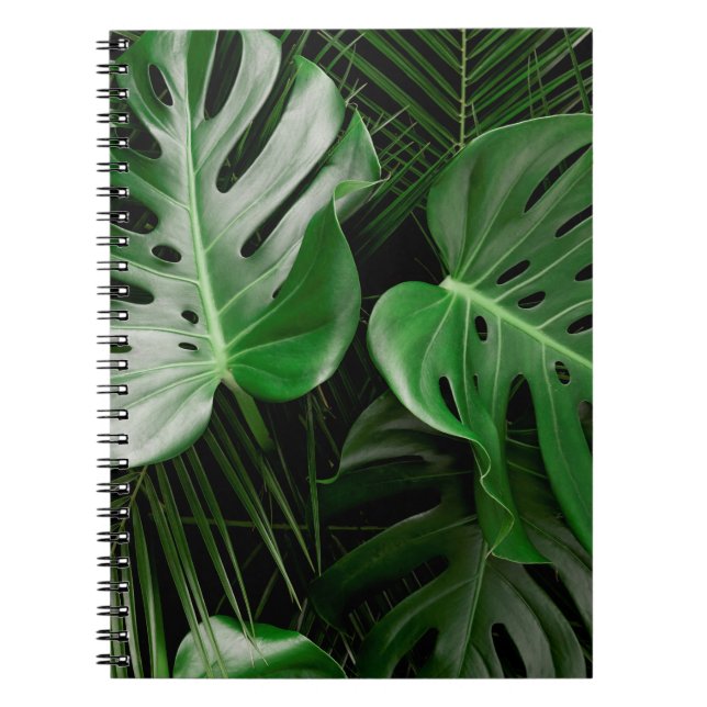 Green monstera leaves and palm leaves notebook (Front)