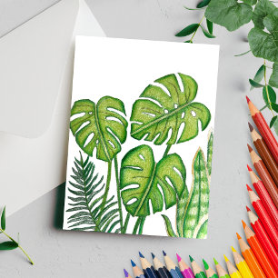 Green Monstera Leaves Drawing Coloured Pencil Postcard