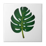 Green Monstera palm leaf custom Ceramic Tile<br><div class="desc">Green Monstera palm leaf custom Ceramic Tile. Trendy tiles for home decorations like bathroom or kitchen wall. Add your own personalised text or image optionally. White or custom colour background. Available in big and small sizes. Tropical decor design,  great for backsplash in beach home.</div>