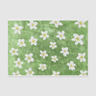 Green Moss and Daisy Illustration Tissue Paper