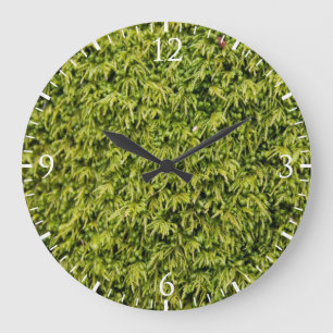 Green Moss Large Clock