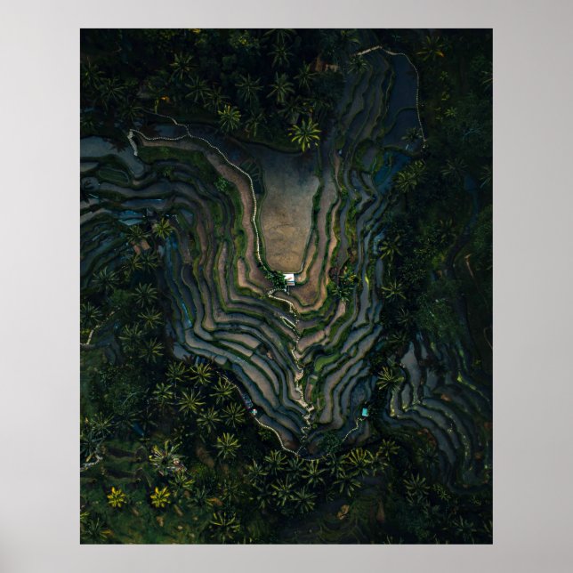 Green moss on black rock poster (Front)