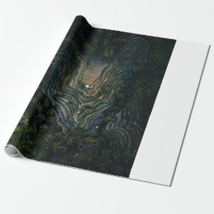 Green moss on black rock wrapping paper