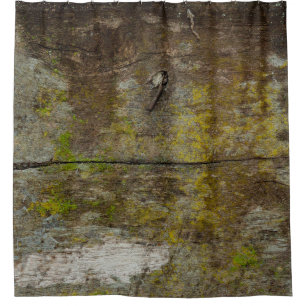 Green moss texture and background. abstract, alive shower curtain
