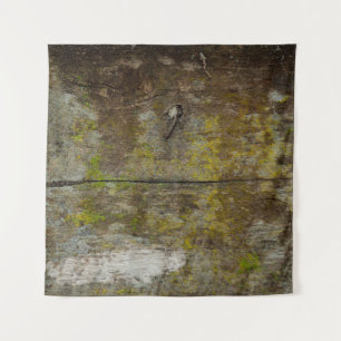 Green moss texture and background. abstract, alive tapestry
