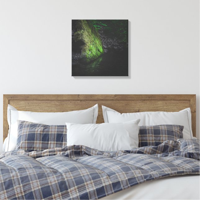 Green mossy rock with reflection in water canvas print (Insitu(Bedroom))