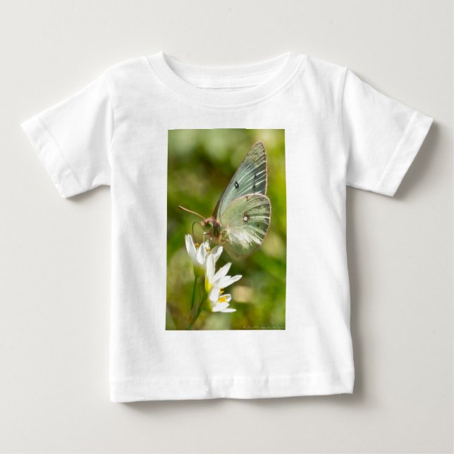 Green Moth on False Garlic Apparel and Gifts Baby T-Shirt (Front)