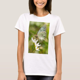 Green Moth on False Garlic Apparel and Gifts T-Shirt