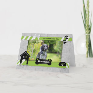 Green Mother's Day from the Dog Photo Card