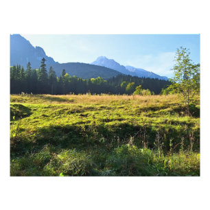 Green Mountain Meadow – Wild Nature Romania Photo Print