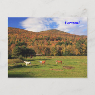 Green Mountains and Horses in Autumn Postcard